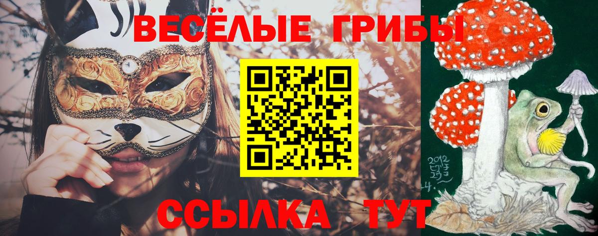 Галлюциногенные грибы GOLDEN TEACHER Истра