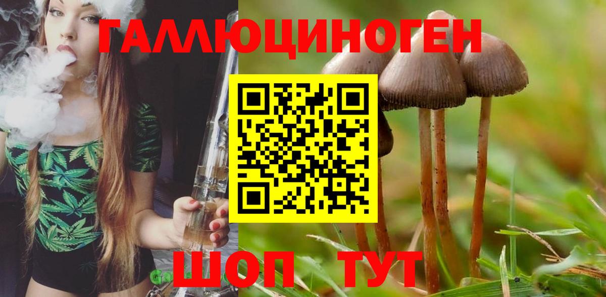 Псилоцибиновые грибы ЛСД  Вход с VPN  Истра  закладка  Галлюциногенные грибы Cubensis 